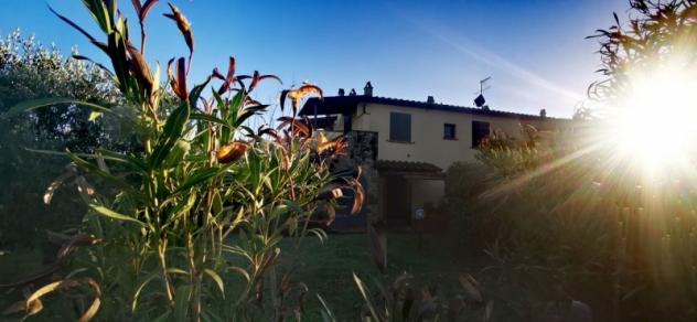 appartamento in vendita a Santa Luce in zona Pomaia