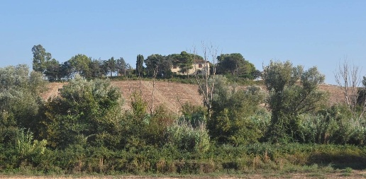 casa indipendente in vendita a Santa Luce