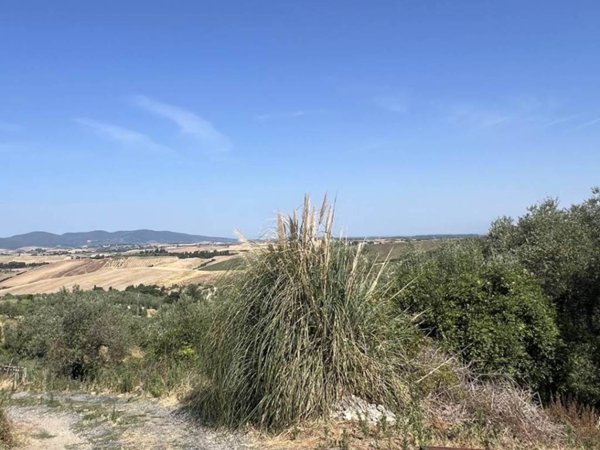 locale commerciale in vendita a Santa Luce