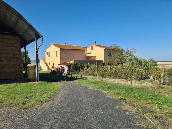 casa indipendente in vendita a Santa Luce