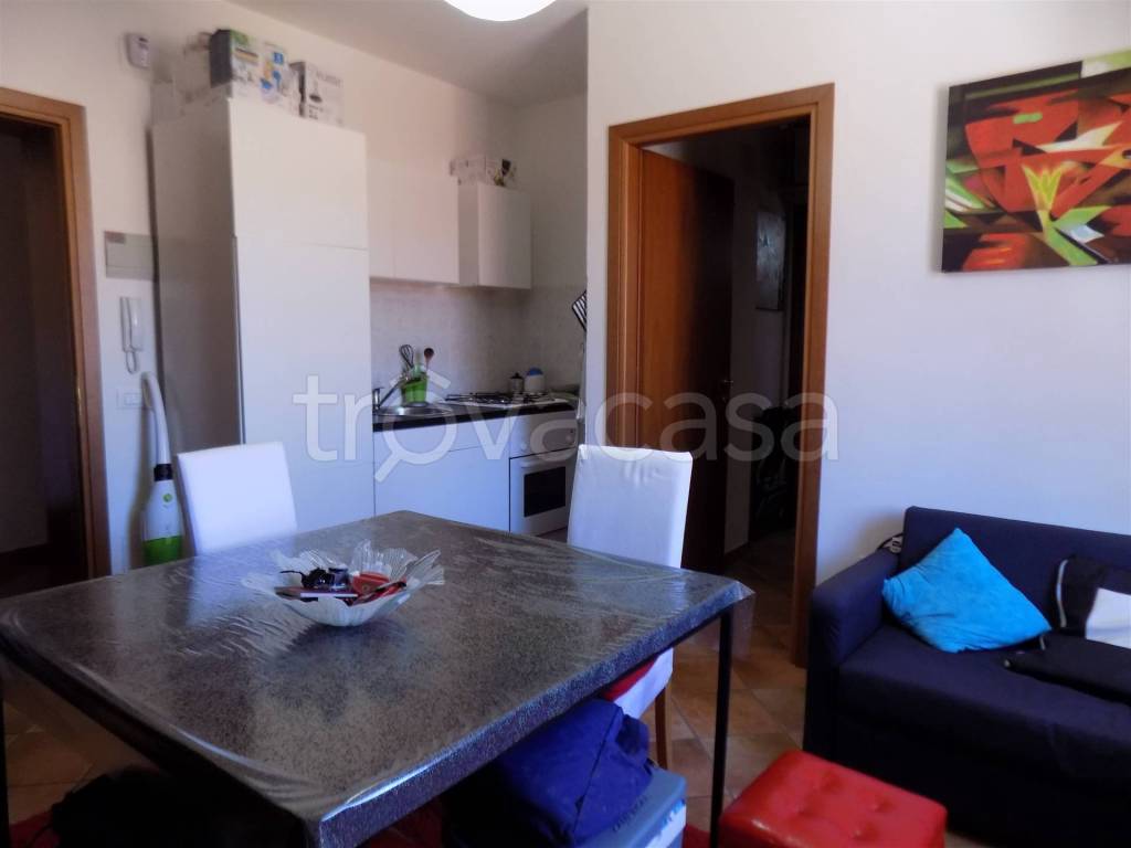 appartamento in vendita a Santa Luce in zona Pastina