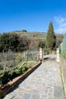casa indipendente in vendita a Santa Luce in zona Pastina