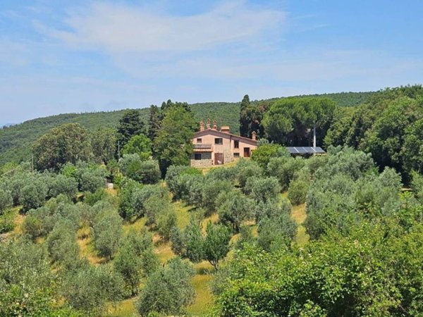 appartamento in vendita a Santa Luce in zona Pastina