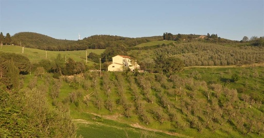 casale in vendita a Santa Luce