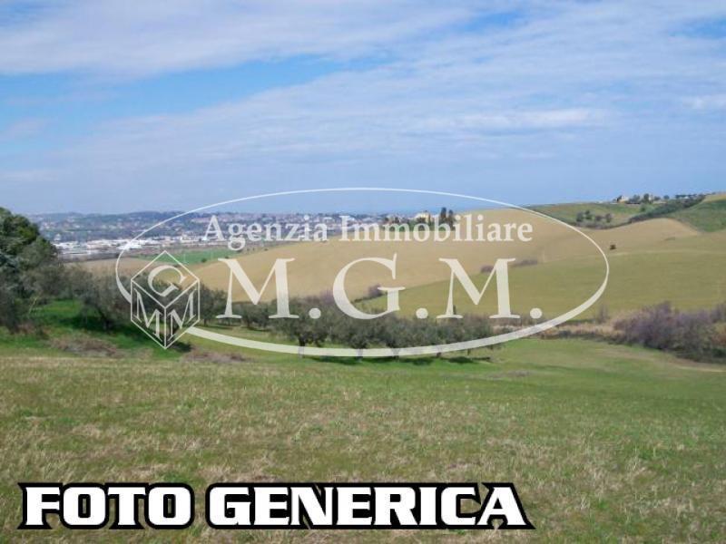 terreno agricolo in vendita a Santa Maria a Monte