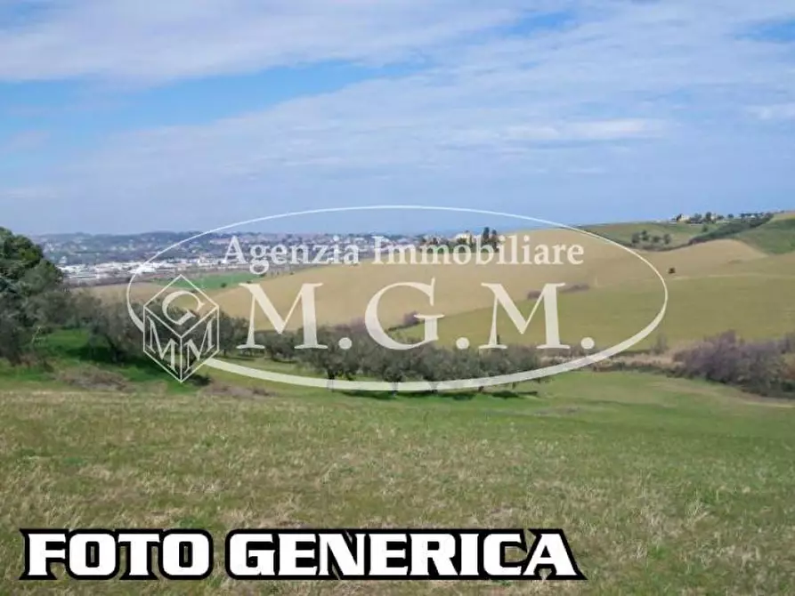 terreno agricolo in vendita a Santa Maria a Monte
