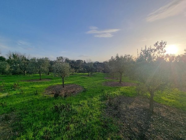 terreno agricolo in vendita a Santa Maria a Monte in zona Cerretti