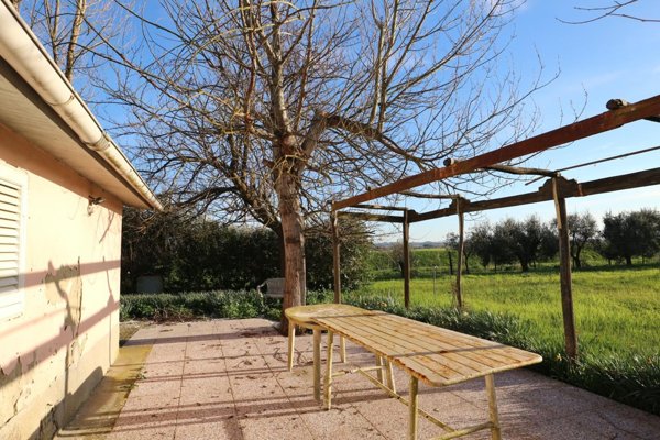 terreno agricolo in vendita a Santa Maria a Monte in zona Montecalvoli