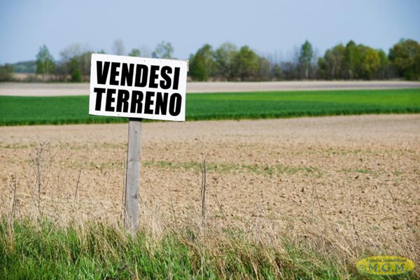terreno agricolo in vendita a Santa Maria a Monte