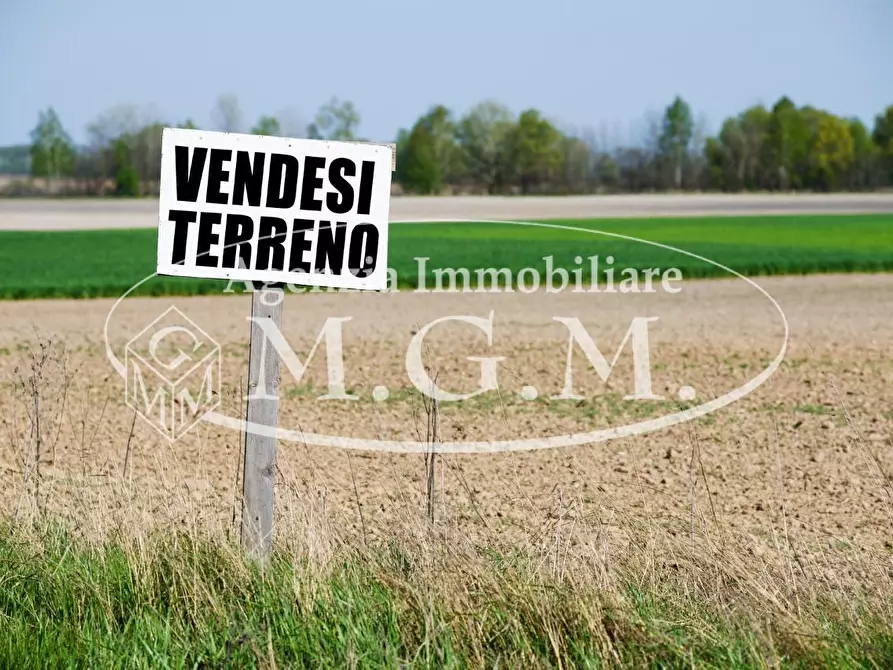 terreno agricolo in vendita a Santa Maria a Monte