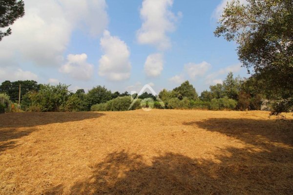 terreno edificabile in vendita a Santa Maria a Monte