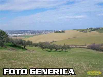 terreno agricolo in vendita a Santa Maria a Monte