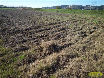 terreno agricolo in vendita a Santa Maria a Monte