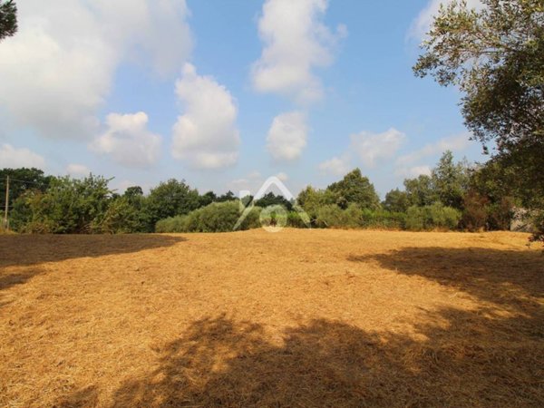 terreno agricolo in vendita a Santa Maria a Monte