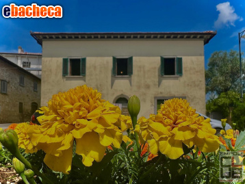 appartamento in vendita a Santa Maria a Monte in zona San Donato