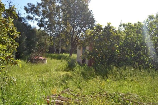 intera palazzina in vendita a Santa Maria a Monte in zona Pregiuntino