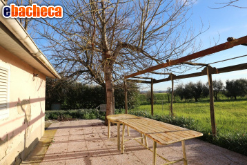 terreno agricolo in vendita a Santa Maria a Monte in zona Montecalvoli
