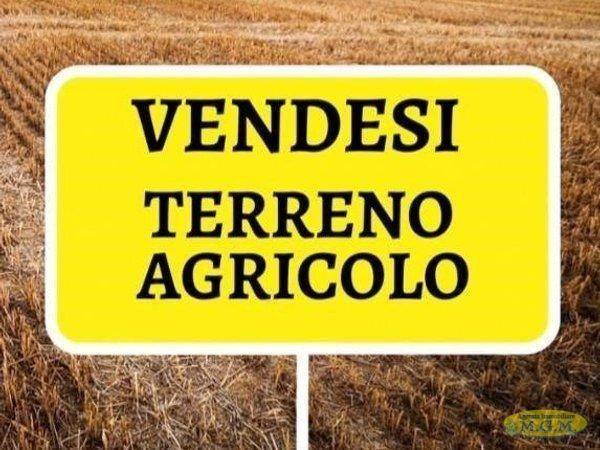 terreno agricolo in vendita a Santa Maria a Monte