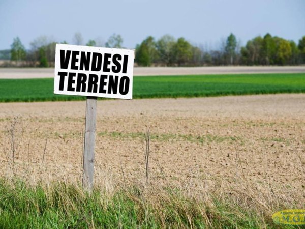 terreno agricolo in vendita a Santa Maria a Monte