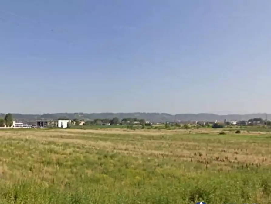 terreno agricolo in vendita a Santa Maria a Monte