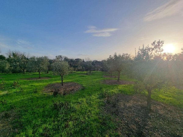 terreno agricolo in vendita a Santa Maria a Monte in zona Cerretti