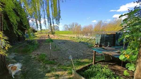 appartamento in vendita a Santa Maria a Monte in zona Montecalvoli