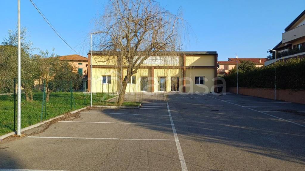 quadrivano in vendita a Santa Maria a Monte