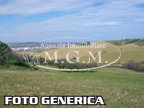 terreno agricolo in vendita a Santa Maria a Monte in zona Cerretti