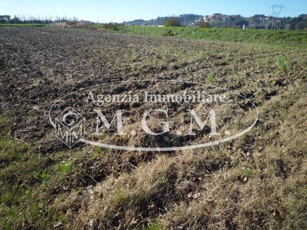 terreno agricolo in vendita a Santa Maria a Monte in zona Cinque Case