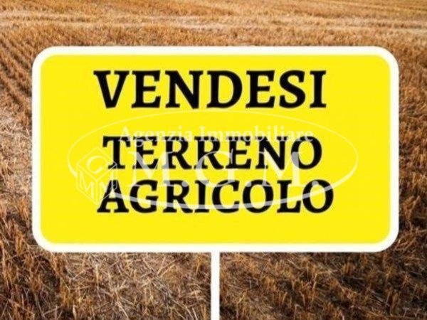 terreno agricolo in vendita a Santa Maria a Monte in zona Montecalvoli