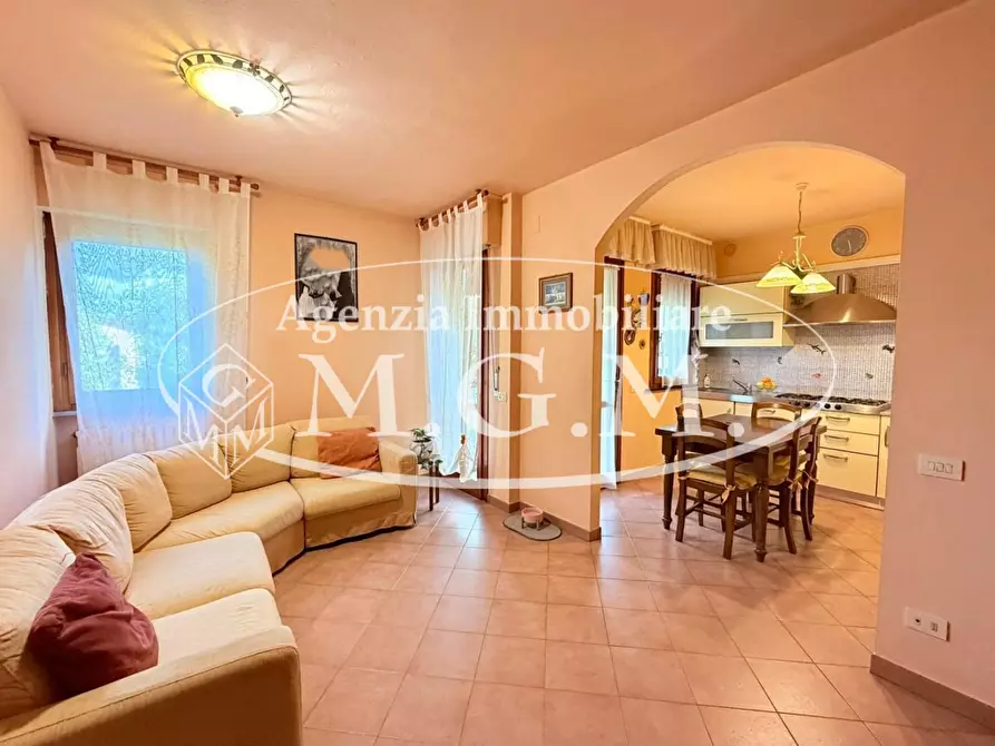 appartamento in vendita a Santa Maria a Monte in zona Montecalvoli