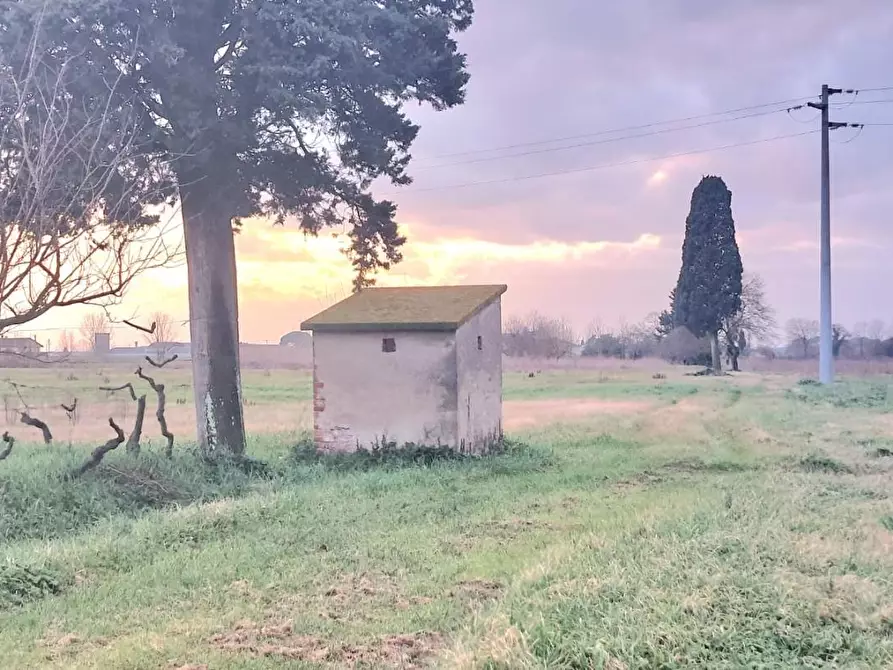 terreno agricolo in vendita a Santa Maria a Monte in zona Montecalvoli