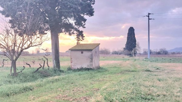 terreno agricolo in vendita a Santa Maria a Monte in zona Montecalvoli