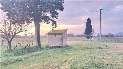 terreno agricolo in vendita a Santa Maria a Monte in zona Montecalvoli