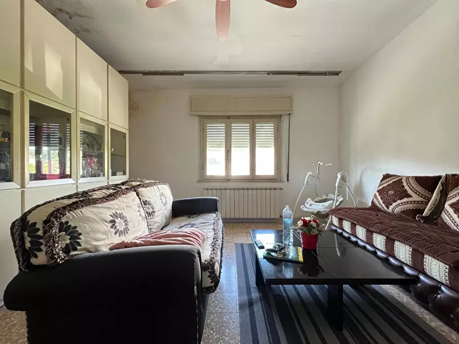 appartamento in vendita a Santa Maria a Monte in zona Montecalvoli