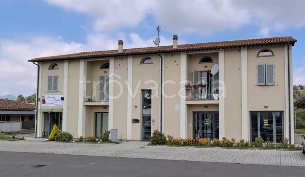 appartamento in vendita a Santa Maria a Monte in zona Montecalvoli