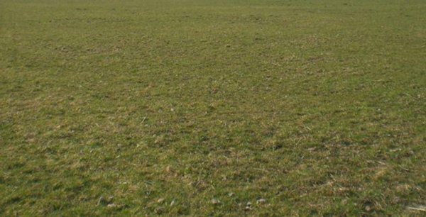 terreno agricolo in vendita a Santa Maria a Monte in zona San Donato