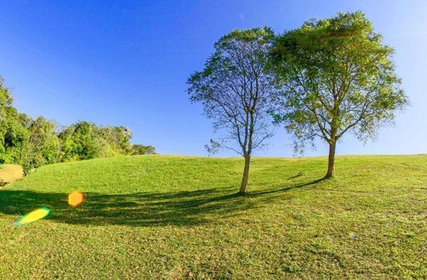 terreno agricolo in vendita a Santa Maria a Monte in zona San Donato