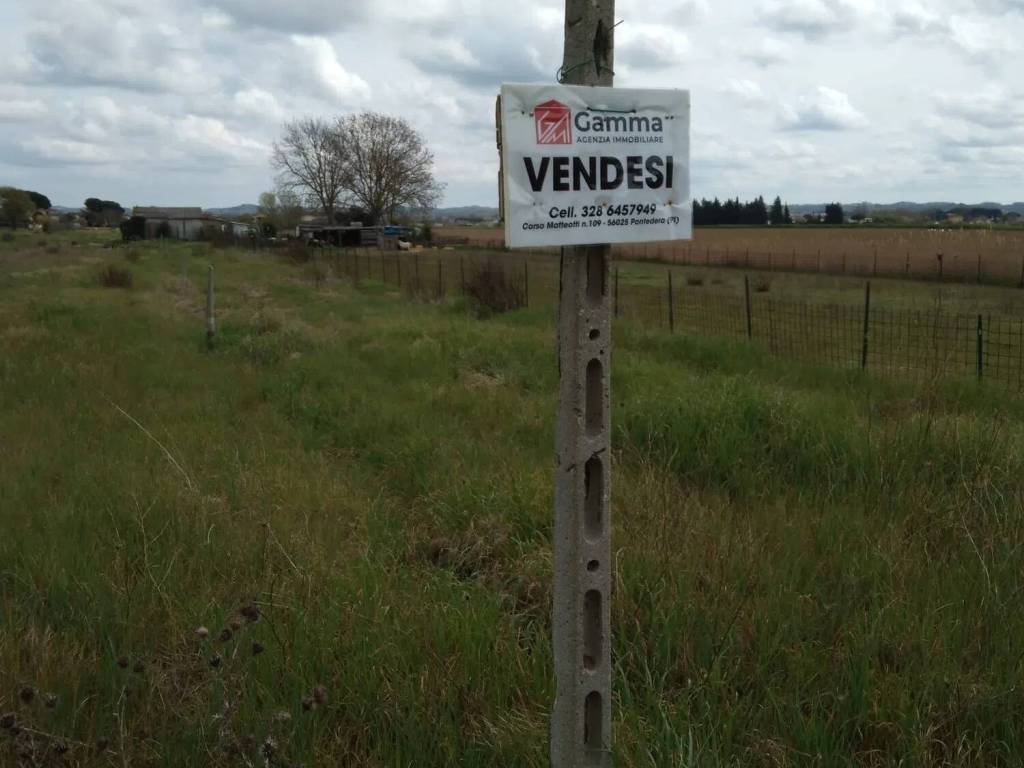 terreno agricolo in vendita a Santa Maria a Monte in zona Montecalvoli