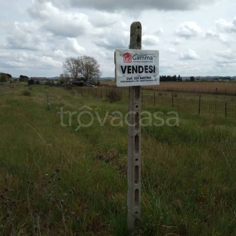 terreno agricolo in vendita a Santa Maria a Monte in zona Montecalvoli