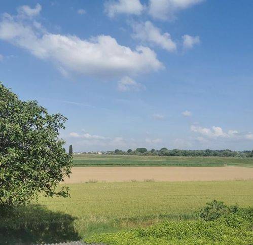 casa indipendente in vendita a Santa Maria a Monte in zona San Donato