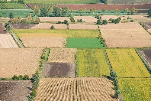 terreno agricolo in vendita a Santa Maria a Monte in zona Montecalvoli