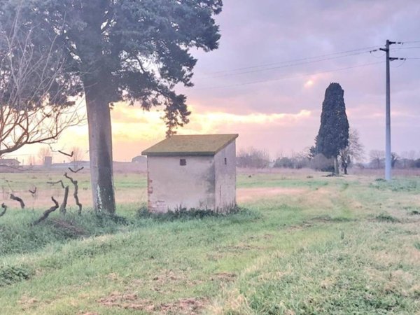 terreno agricolo in vendita a Santa Maria a Monte in zona Montecalvoli
