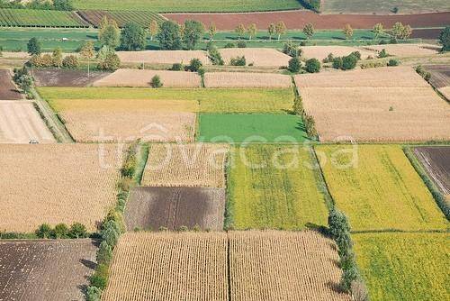 terreno agricolo in vendita a Santa Maria a Monte in zona Montecalvoli