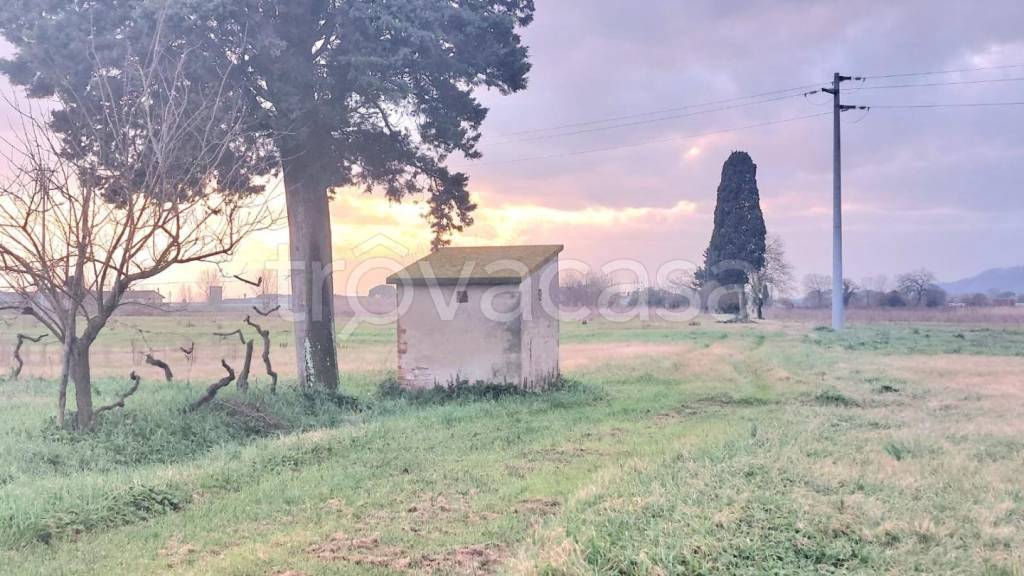 terreno agricolo in vendita a Santa Maria a Monte in zona Montecalvoli