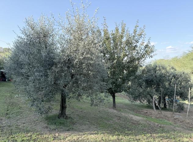 locale di sgombero in vendita a Santa Maria a Monte in zona Cerretti