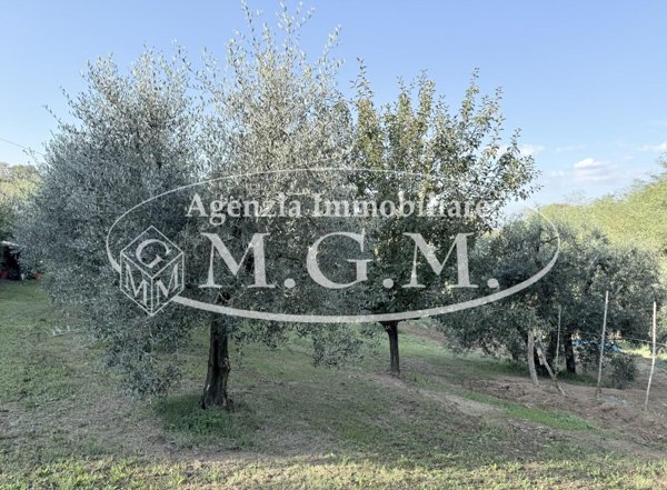 locale di sgombero in vendita a Santa Maria a Monte in zona Cerretti