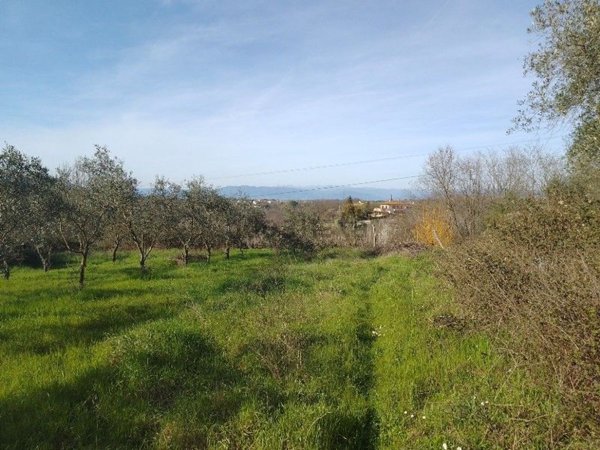 terreno agricolo in vendita a Santa Maria a Monte in zona Montecalvoli
