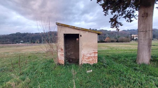 terreno agricolo in vendita a Santa Maria a Monte in zona Montecalvoli