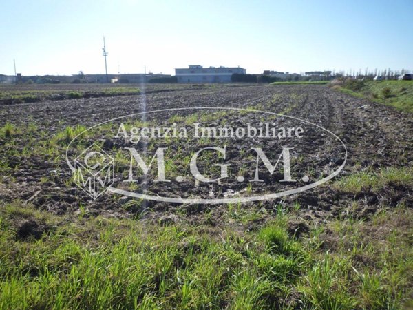 terreno agricolo in vendita a Santa Maria a Monte